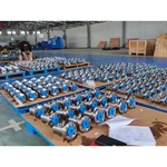 DBB Valve