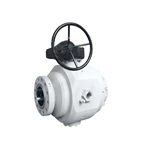 Pig Valve